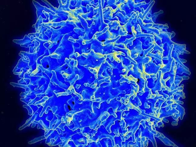 新型癌症免疫疗法一次注射消灭几乎所有肿瘤