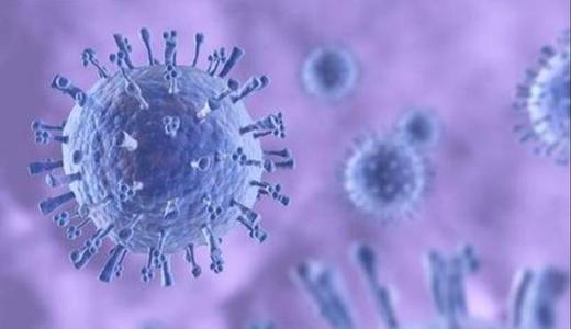 新冠病毒感染特性分析