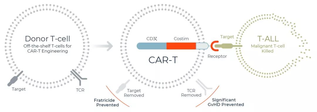 首个套细胞淋巴瘤 CAR-T细胞疗法 吉利德Tecartus获美国FDA批准