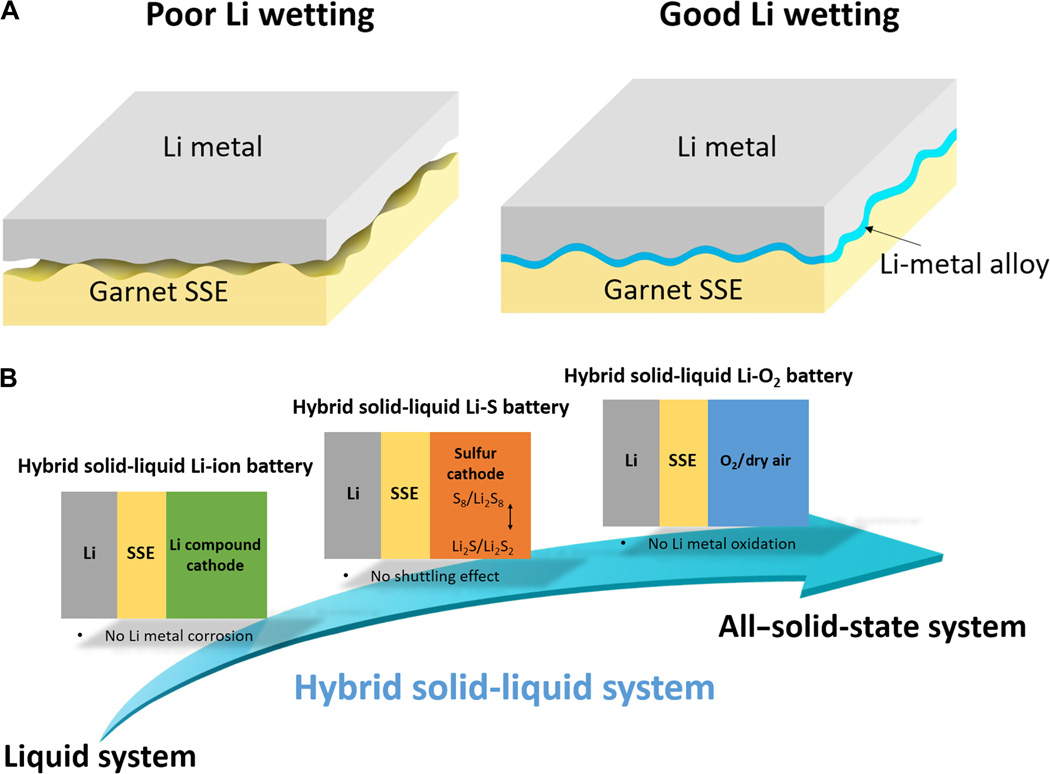 Fast cycling of lithium metal in solid-state batteries by constriction-susceptible anode materials