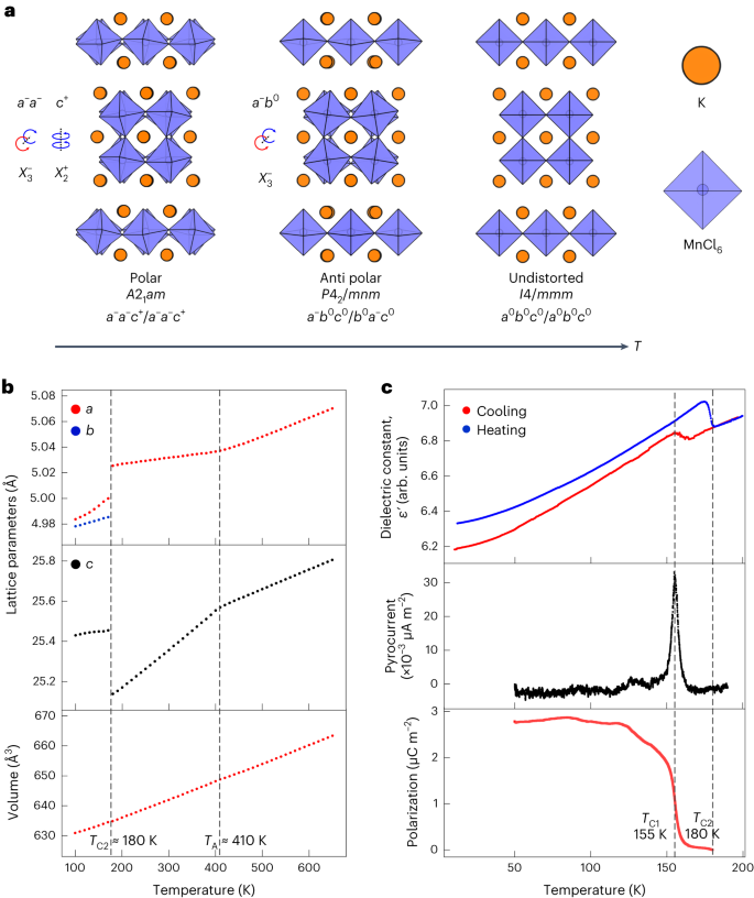 One-step dual-additive passivated wide-bandgap perovskites
